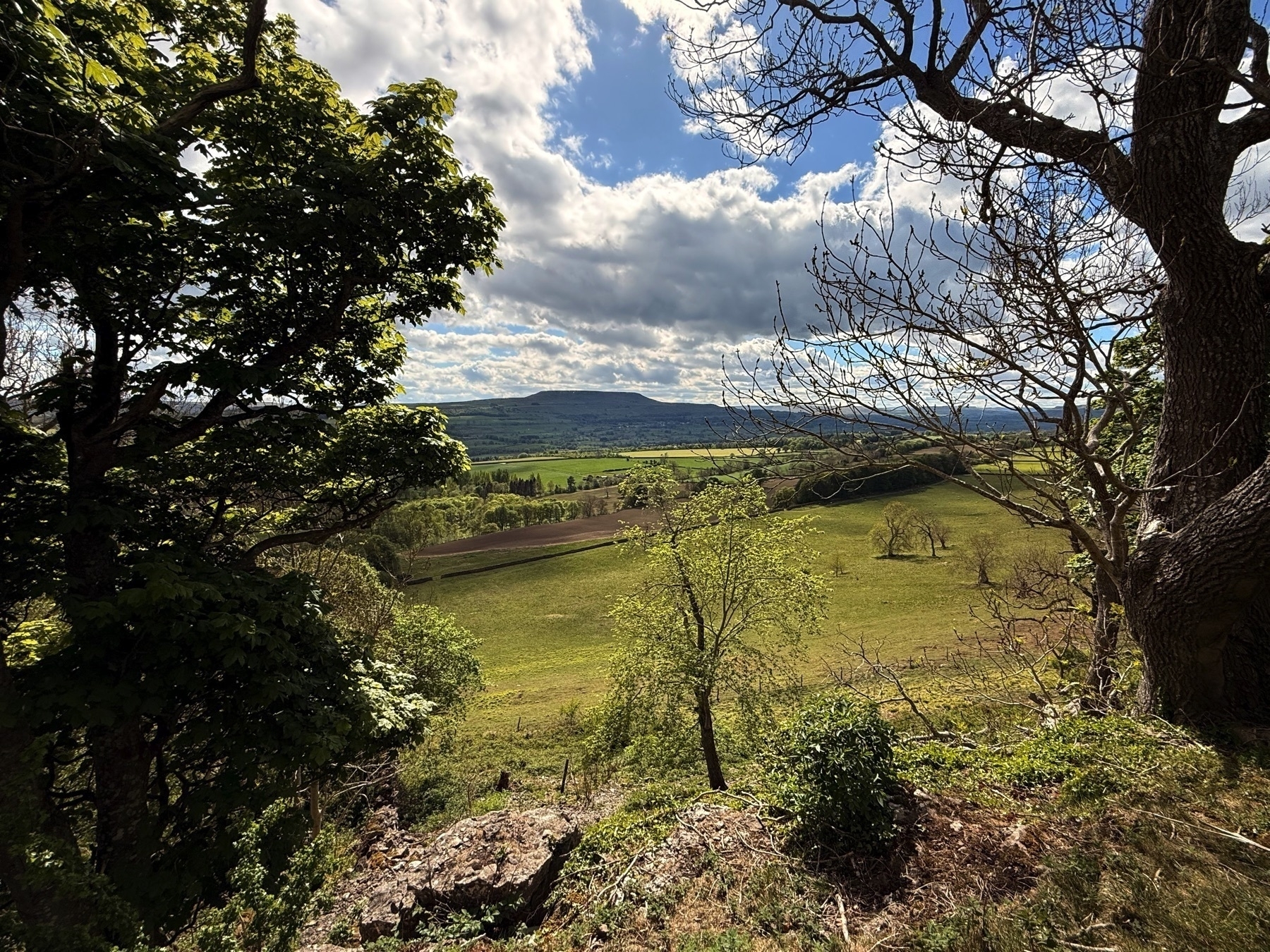 Photo of a distant hill across a valley in a frame of nearby trees. The weather warm and sunny.